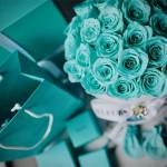 Ken ở Quận 9, TP Hồ Chí Minh - Có hút thuốc