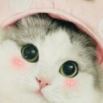 Khuong Duy ở Quận 1, TP Hồ Chí Minh - vui vẻ & hòa đồng