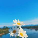 phuoc ở Quảng Ngãi, Quảng Ngãi - vui vẻ hòa đồng, yêu thể thao