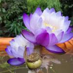 No Name ở Thuận An, Bình Dương - có top nào hay trai thẳng nào 