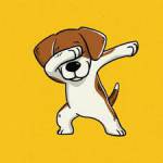 DD-DN ở Hải Châu, Đà Nẵng - Thành đạt, sạch sẽ