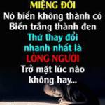Huynh Nguy ở Bình Chánh, TP Hồ Chí Minh - Vui vẻ hòa đồng