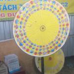 Thanh ở Hóc Môn, TP Hồ Chí Minh - De hoa đong