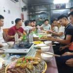 Khỉ Con ở Quốc Oai, Hà Nội - Hòa đồng