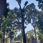 Tim ón ở Bình Thạnh, TP Hồ Chí Minh - Ons ko ràng buộc