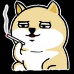 Minhh ở Bắc Từ Liêm, Hà Nội - tìm fwb/ons