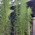 Vinh ở Bắc Bình, Bình Thuận - Vui vẻ hoà đồng