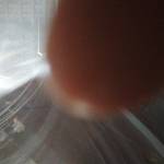 Hà ở Long Thành, Đồng Nai - Hòa đồng men