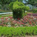 Nhut Le ở Bình Tân, TP Hồ Chí Minh - vui ve hoa dong de gan