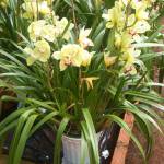 Nguyễn tùn ở Nha Trang, Khánh Hòa - Vui vẻ hòa đồng