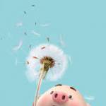 Nguyen - tim ban trai da ly hon qua so dien thoai