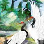 David Nguy ở Phúc Yên, Vĩnh Phúc - Tôn trọng tất cả mọi người.