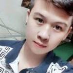 Tễu Tễu Profile Picture