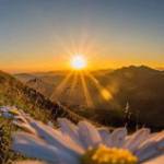 Trương Lộc ở ,  - 