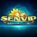 Tran phu Dau - tim ban trai da ly hon qua so dien thoai