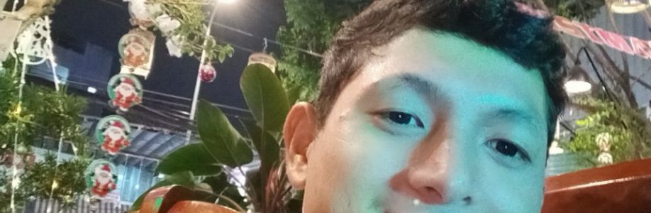 Nhu pham Nguyen Cover Image