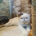 Pigpham96 ở Thủ Dầu Một, Bình Dương - Trầm tính