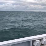 Van hi ở Thủ Dầu Một, Bình Dương - Binh thuong