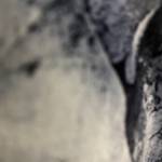 Nguyen Hoa ở Long Biên, Hà Nội - E chuẩn 99 và đang ở Tư Đình l