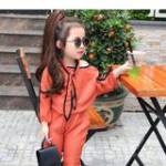 Mai Anh Hoàng Profile Picture