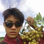 Thiet Phan ở Hàm Thuận Nam, Bình Thuận - tim nguoi de yeu