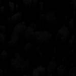 thanh ng ở Quận 1, TP Hồ Chí Minh - tim fwb