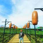 NammP Nam ở Ninh Hòa, Khánh Hòa - Hi