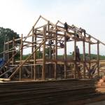 hoa đồng v ở Bắc Yên, Sơn La - kín đáo