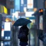 An Bui ở Gò Vấp, TP Hồ Chí Minh - no