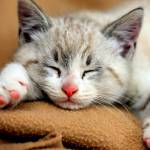 Asama ở Long Biên, Hà Nội - Vui vẻ ,quan tâm và nhu cầu ca