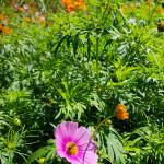 Tiến ở Thủ Đức, TP Hồ Chí Minh - Vui tính, hòa đồng