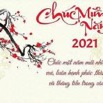 Trần Khánh ở Nha Trang, Khánh Hòa - Kỹ thuật đỉnh, dài 16cm