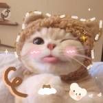 Dũng ở Cầu Giấy, Hà Nội - Nhu cầu cao cần tìm các bạn tr