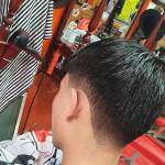 Tùng ở Phú Vang, Thừa Thiên Huế - Wfb