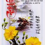 Trần Hoa Xim đang tìm bạn hẹn hò qua mạng