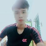 Tôn văn lu ở Liên Chiểu, Đà Nẵng - Vui vẻ hoà đồng