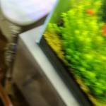 Hai nam ở Hoàng Mai, Hà Nội - Kkkkkkkkkkkkkkkkkk