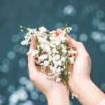 July ở Hải Châu, Đà Nẵng - Một lữ khách.