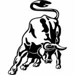 lê phong Profile Picture