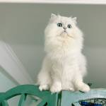 NguyenNguy ở Quận 7, TP Hồ Chí Minh - Đã từng làm người yêu cũ lên đ