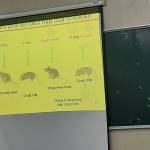 An ở Quận 4, TP Hồ Chí Minh - tình cảm, vui vẻ, hòa đồng.