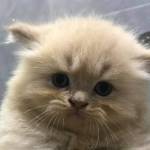 Tuan ở Thủ Đức, TP Hồ Chí Minh - Tim FWB ONS