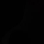 Dat ở Quận 5, TP Hồ Chí Minh - Đọc than