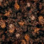 Man37A ở Vinh, Nghệ An - Galang, tình cảm và kỹ năng tố