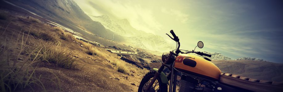 Hồ Đăng Việt Cover Image