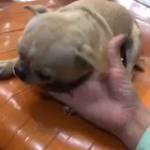 Hùng Trần ở ,  - 