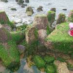 tim ban gay top bot Văn Quân