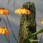 nguyễn đức ở Hải Châu, Đà Nẵng - vui tính hoà đồng