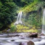 Hoang Pham ở Quảng Ngãi, Quảng Ngãi - năng đông ,dê hoa đông,vui ve 