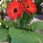 Hoàng Phúc ở Buôn Ma Thuột, Đắk Lắk - Chân thành, tình nghĩa.